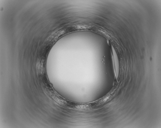 X0000058770422200510211728