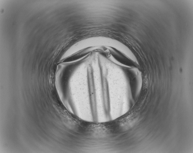 X0000058770424200510211728