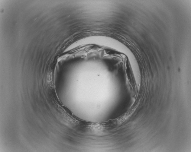 X0000058770425200510211728