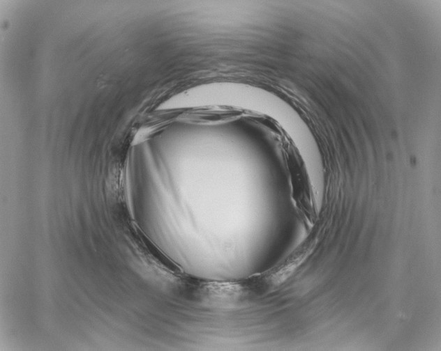 X0000058770429200510211727