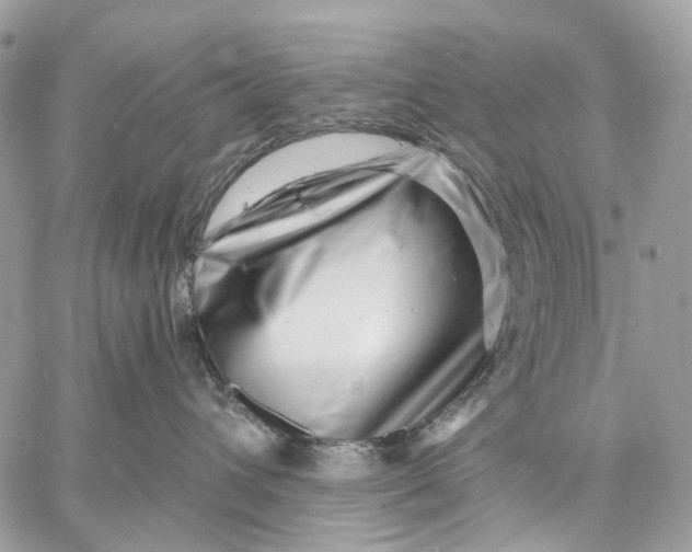 X0000058770432200510211727