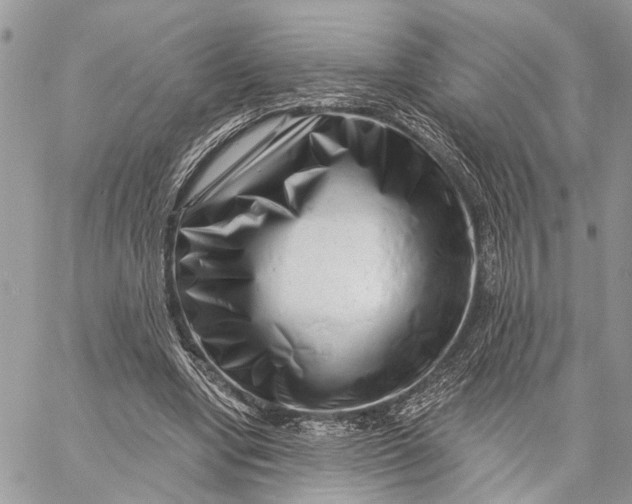 X0000058770442200510211727