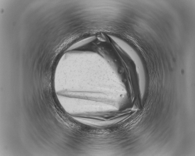 X0000058770443200510211727