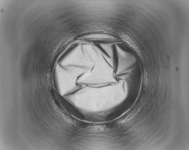 X0000058770449200510211727