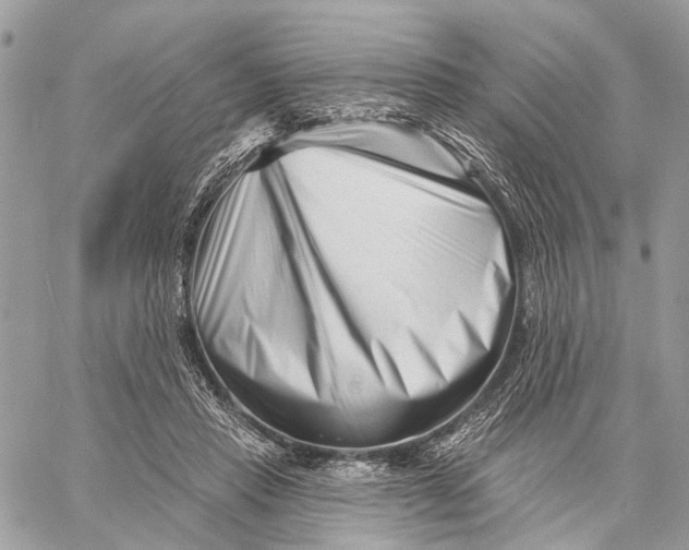 X0000058770453200510211727