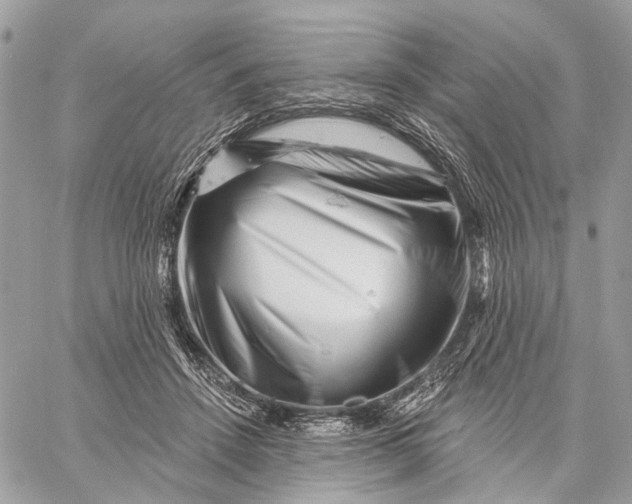 X0000058770456200510211727