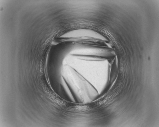 X0000058770457200510211727