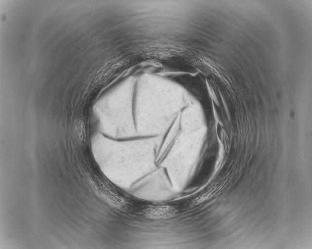 X0000058770459200510211727