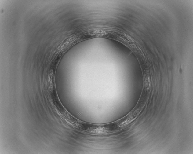 X0000058770460200510211727