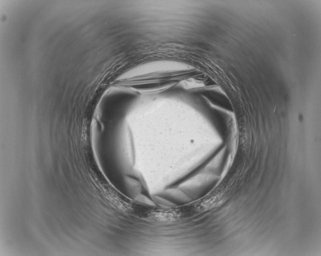 X0000058770466200510211727