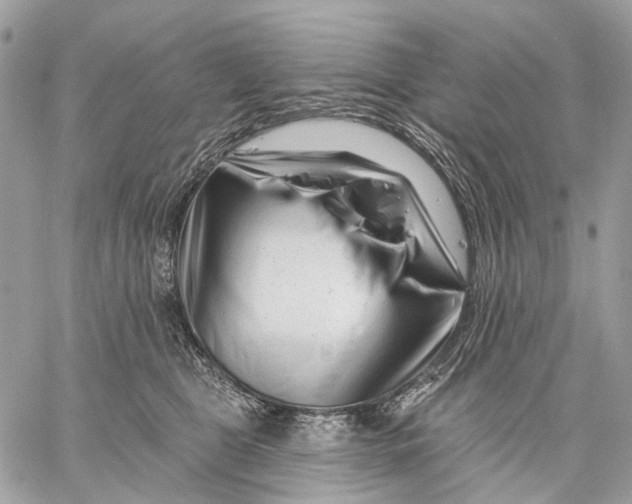 X0000058770469200510211727