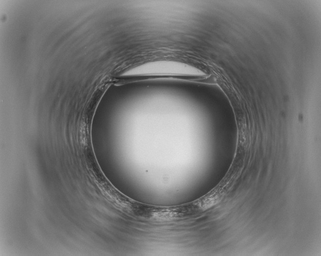 X0000058770470200510211727