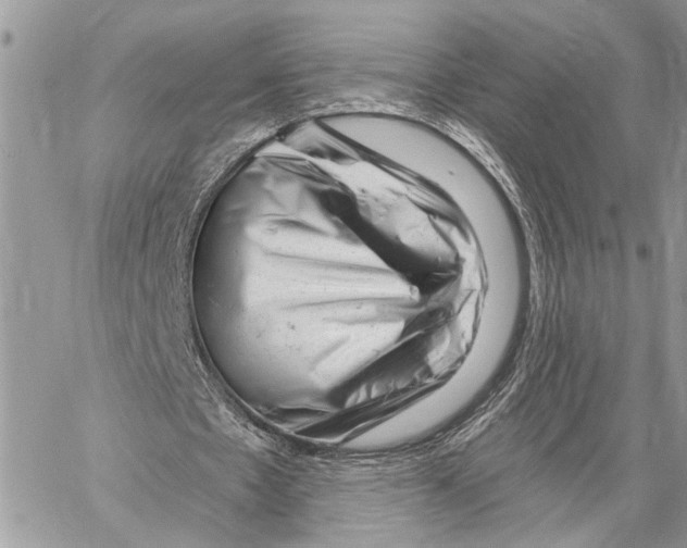 X0000058770481200510211727