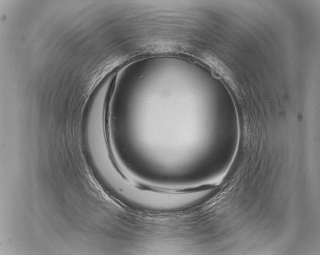 X0000058770485200510211727