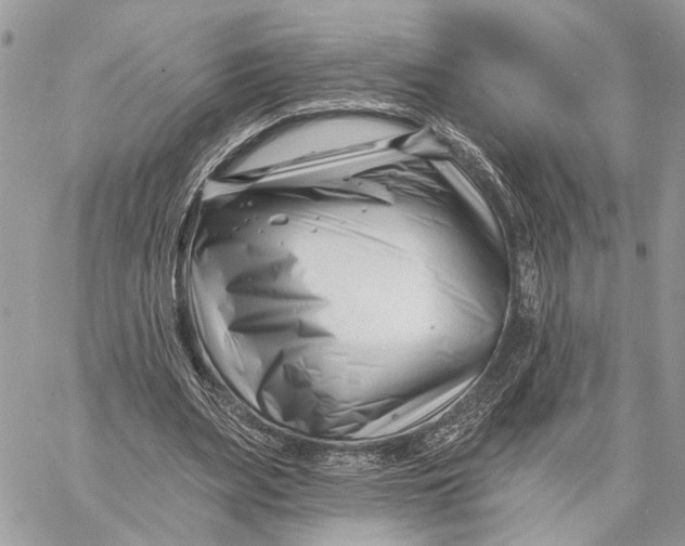 X0000058770487200510211727
