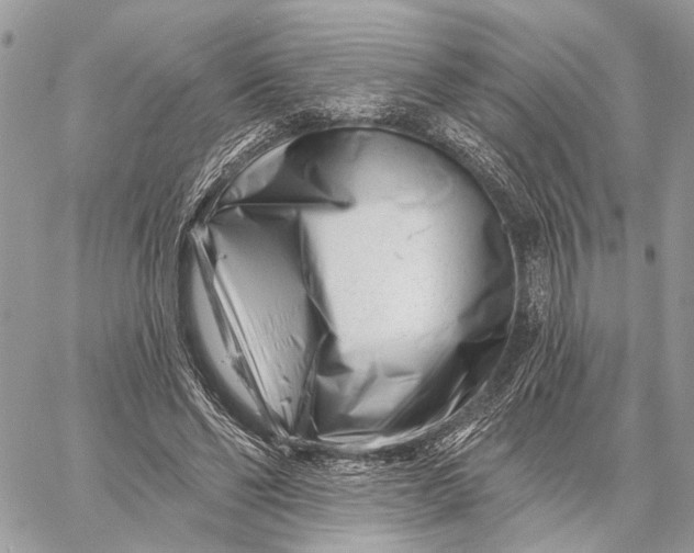 X0000058770494200510211726