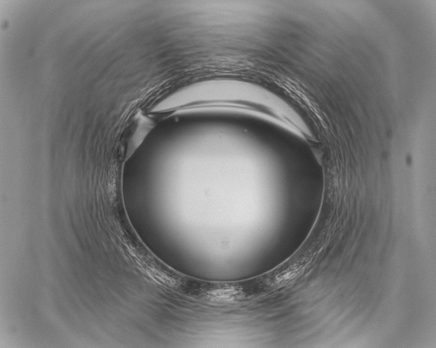 X0000058770505200510211726
