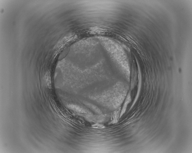 X0000058770508200510211726