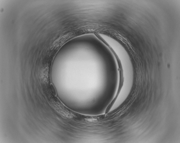 X0000058770509200510211726