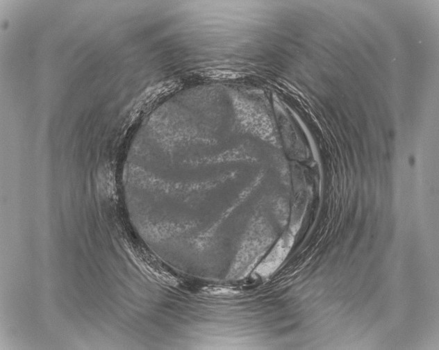 X0000058770512200510211726