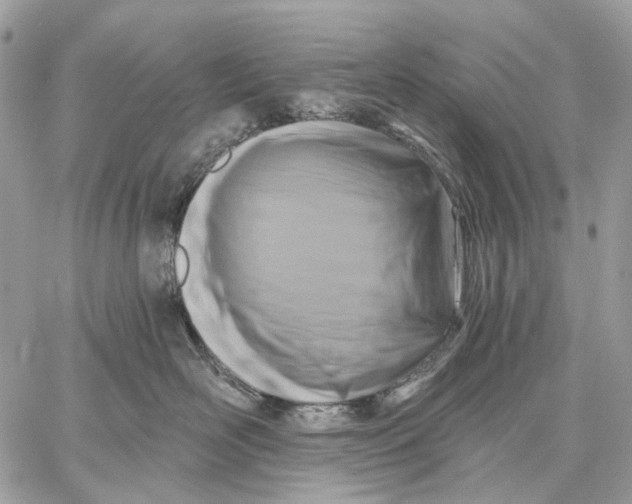 X0000058770526200510211726