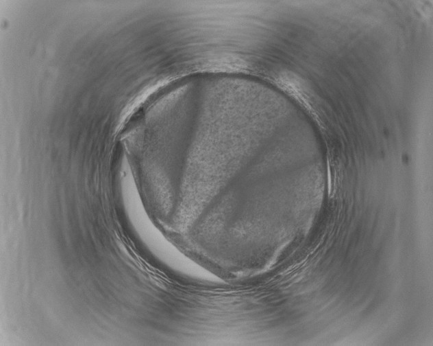 X0000058770531200510211725