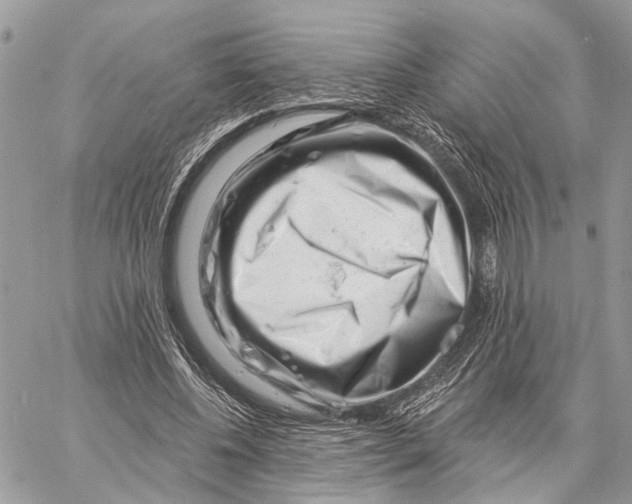 X0000058770540200510211725