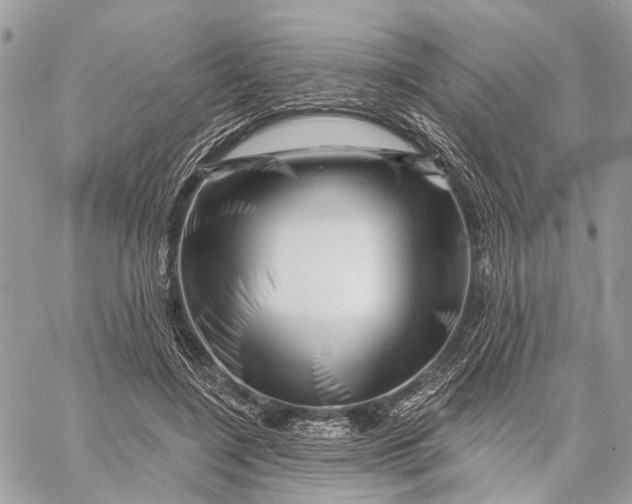 X0000058770548200510211725