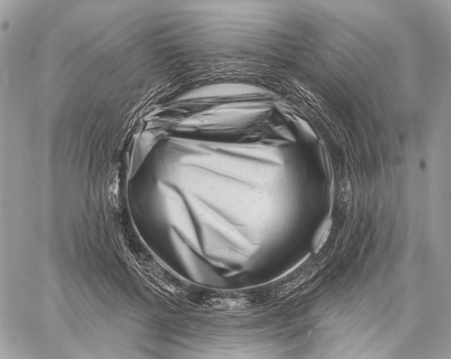 X0000058770552200510211725