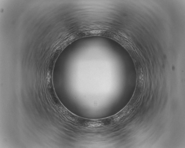X0000058770555200510211725