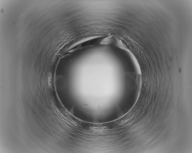 X0000058770556200510211726
