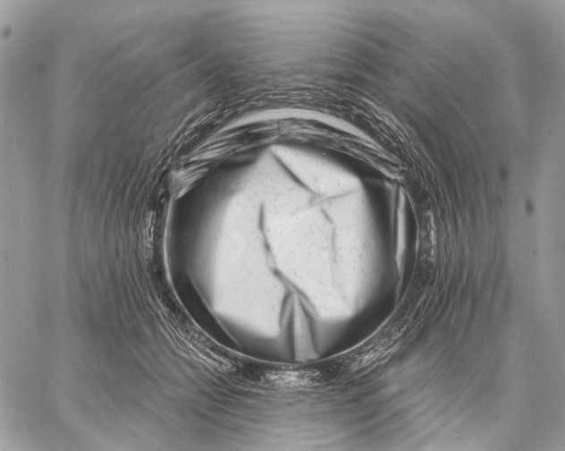X0000058770558200510211726