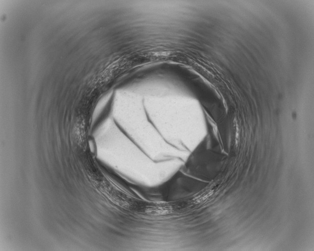 X0000058770559200510211726