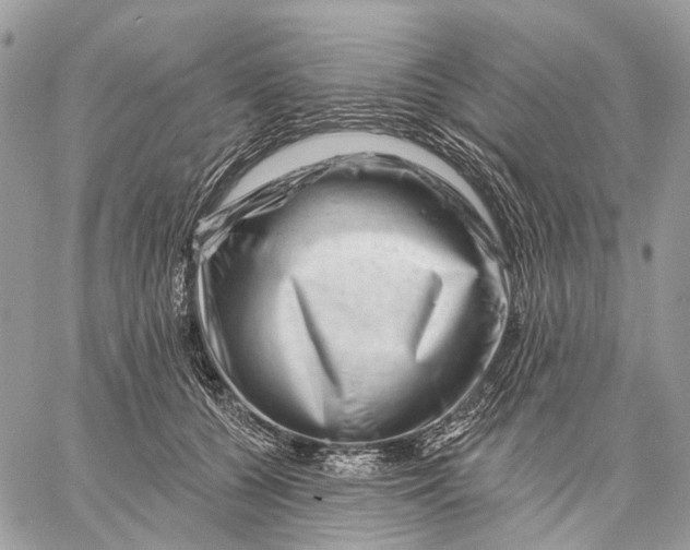 X0000058770560200510211726