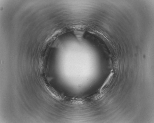 X0000058770572200510211726