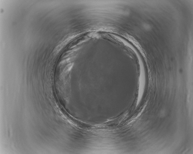 X0000058770577200510211725