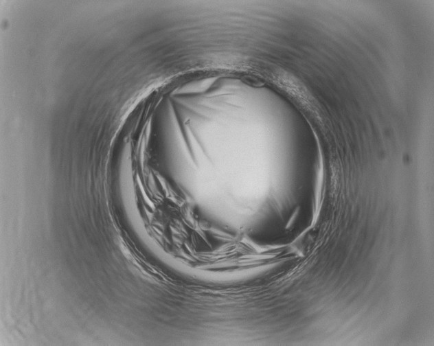 X0000058770580200510211725