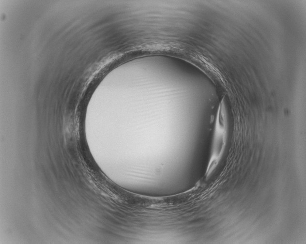 X0000058770584200510211725