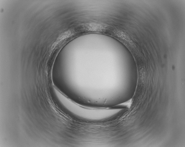 X0000058770587200510211725