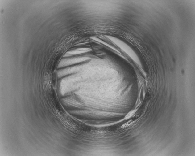 X0000058770593200510211725