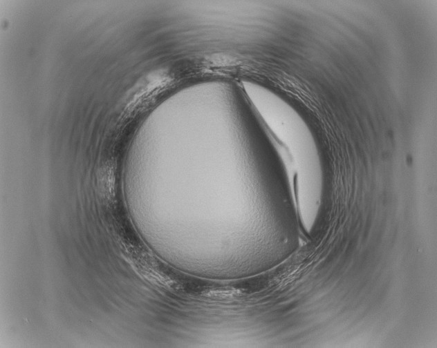 X0000058770595200510211725