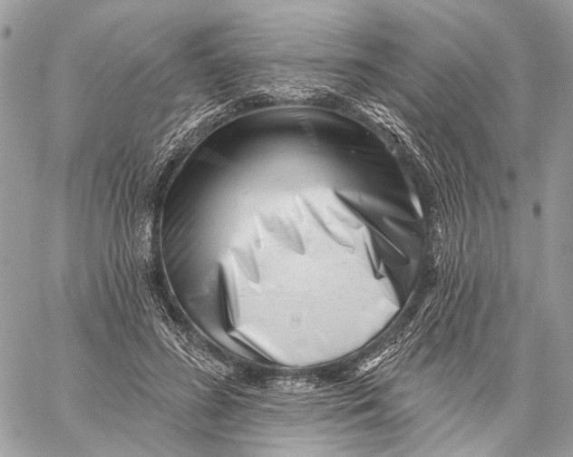 X0000058770596200510211725