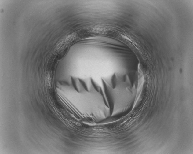 X0000058770597200510211725