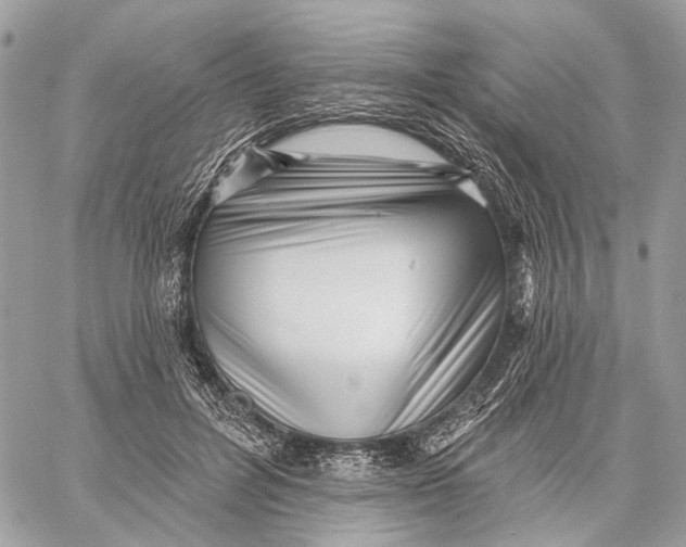 X0000058770600200510211725