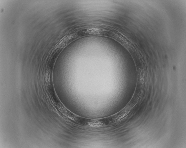 X0000058770603200510211725