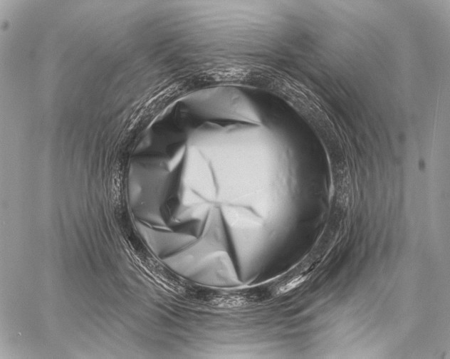 X0000058770604200510211725