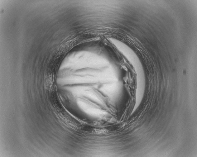 X0000058770605200510211725
