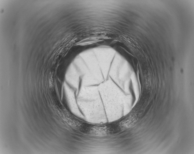 X0000058770606200510211725