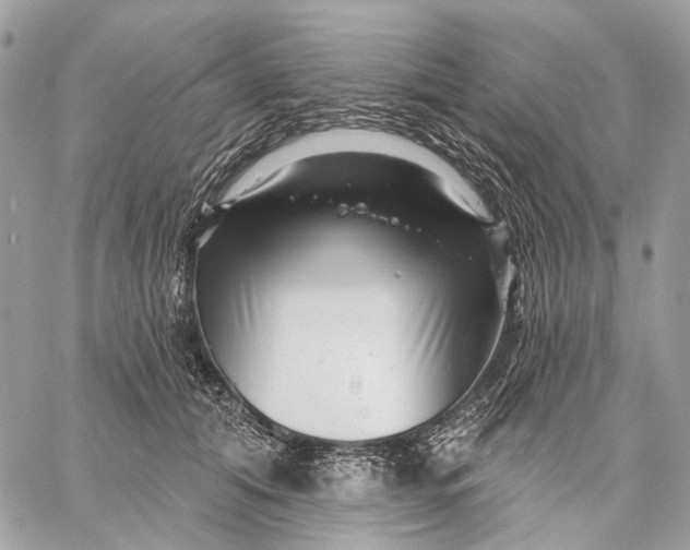 X0000058770608200510211725