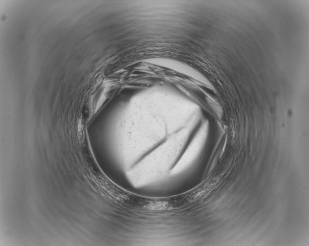 X0000058770609200510211725
